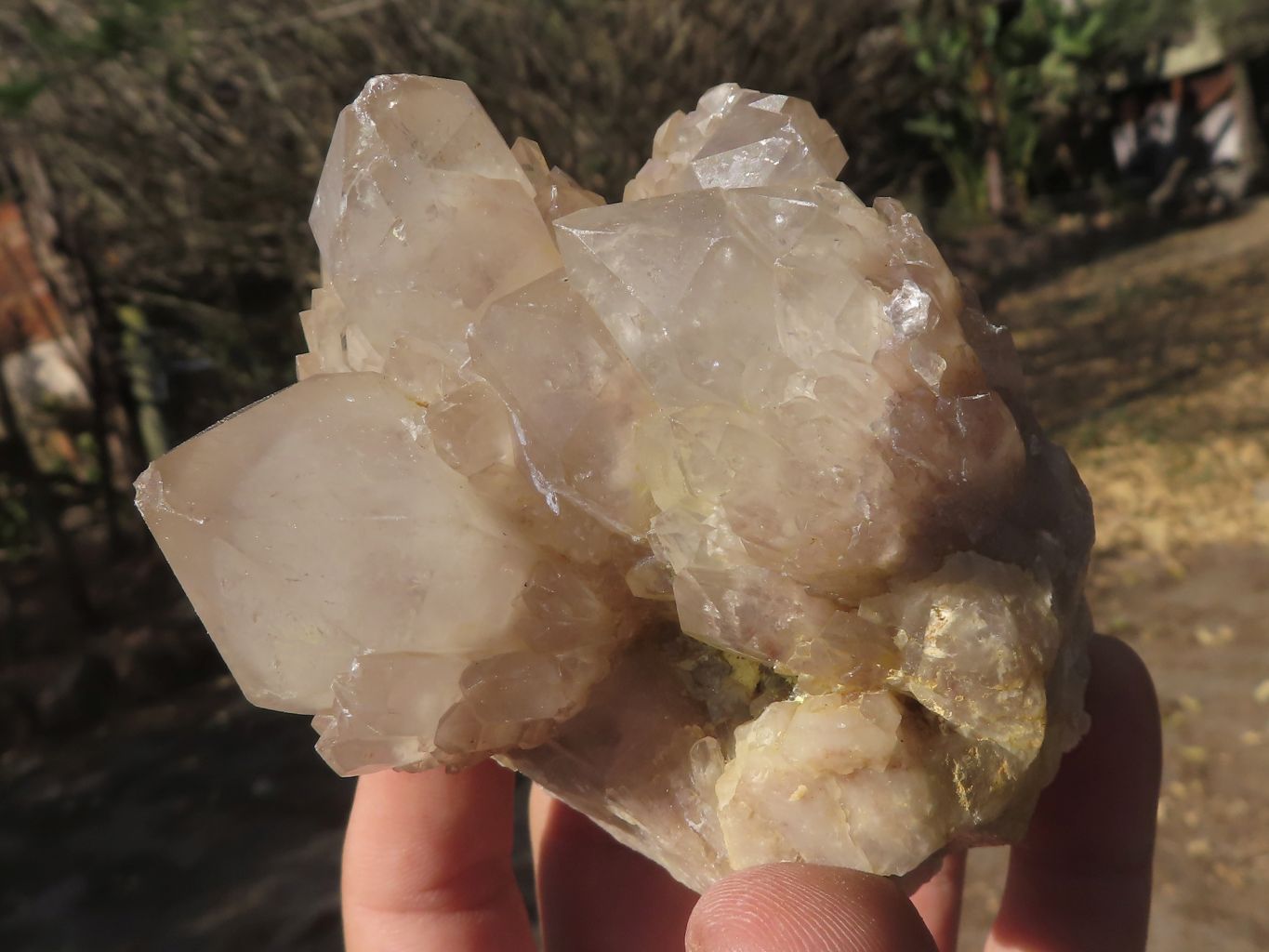 Natural Smokey Cascading Phantom Quartz Clusters x 6 From Luena, Congo - TopRock
