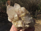 Natural Smokey Cascading Phantom Quartz Clusters x 6 From Luena, Congo - TopRock