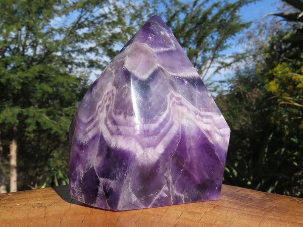 Polished  Flower Chevron Amethyst Faceted Crystal Points x 2 From Zambia - TopRock