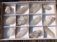 Natural Clear Quartz Crystal Specimens  x 12 From Mpika, Zambia - Toprock Gemstones and Minerals 