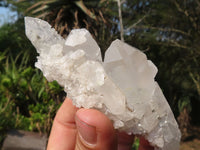 Natural Clear Quartz Crystal Specimens  x 12 From Mpika, Zambia - Toprock Gemstones and Minerals 