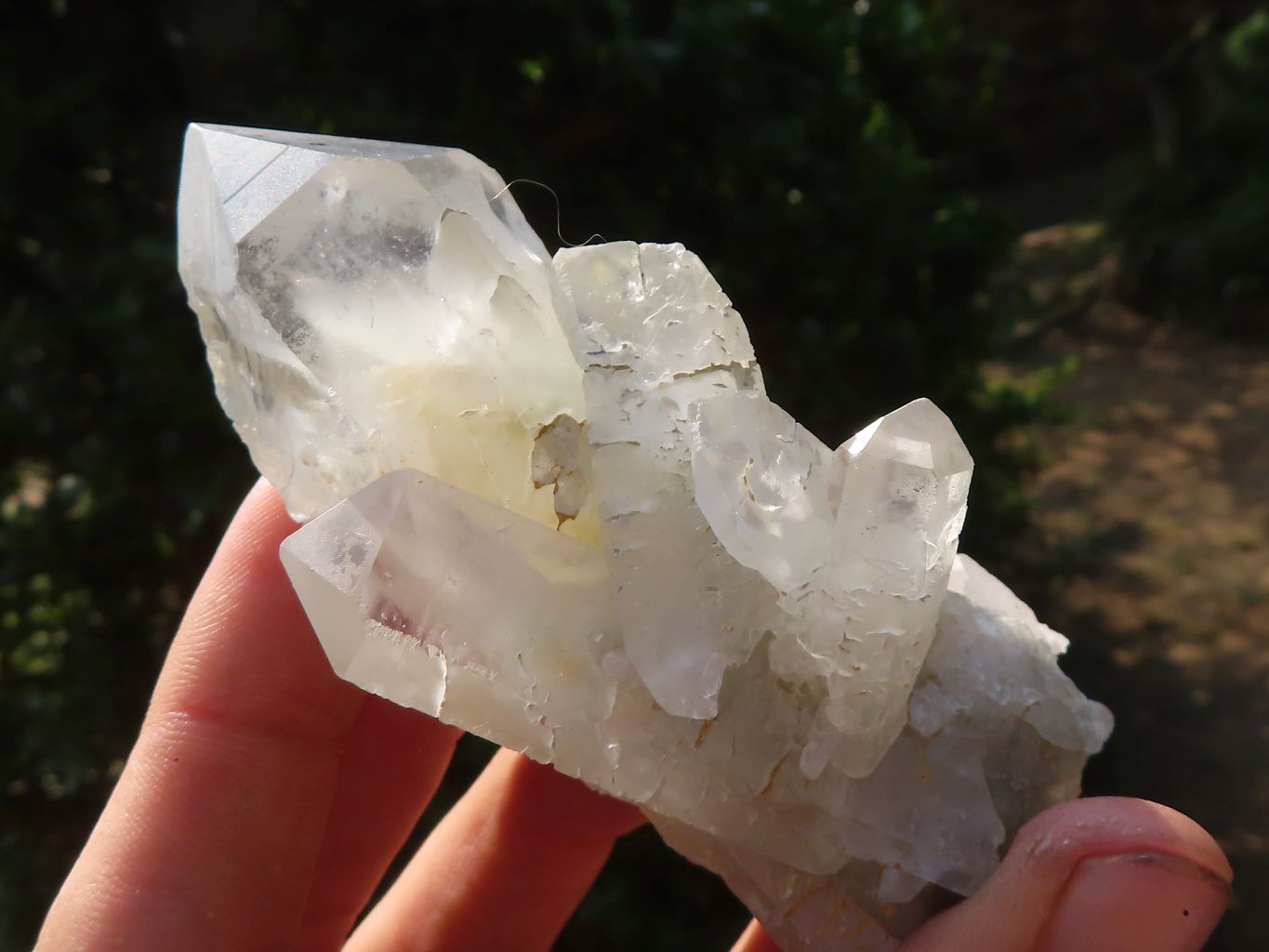Natural Clear Quartz Crystal Specimens  x 12 From Mpika, Zambia - Toprock Gemstones and Minerals 