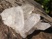 Natural Clear Quartz Crystal Specimens  x 12 From Mpika, Zambia - Toprock Gemstones and Minerals 