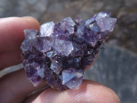 Natural Small Dark "Amethystos" Amethyst Clusters x 63 From Kwaggafontein, South Africa - TopRock