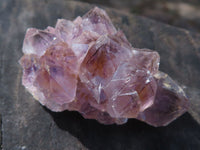 Natural Small Dark "Amethystos" Amethyst Clusters x 63 From Kwaggafontein, South Africa - TopRock