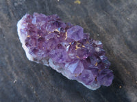 Natural Small Dark "Amethystos" Amethyst Clusters x 63 From Kwaggafontein, South Africa - TopRock