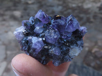 Natural Small Dark "Amethystos" Amethyst Clusters x 63 From Kwaggafontein, South Africa - TopRock