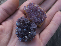 Natural Small Dark "Amethystos" Amethyst Clusters x 63 From Kwaggafontein, South Africa - TopRock
