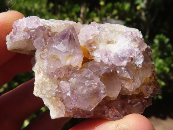 Natural Lovely Mixed Selection Of Spirit Quartz Clusters  x 24 From Boekenhouthoek, South Africa - Toprock Gemstones and Minerals 