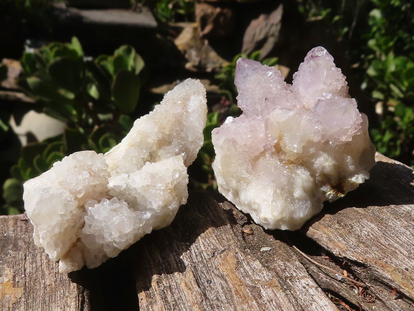 Natural Lovely Mixed Selection Of Spirit Quartz Clusters  x 24 From Boekenhouthoek, South Africa - Toprock Gemstones and Minerals 