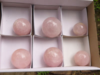 Polished Pink Rose Quartz Spheres  x 6 From Ambatondrazaka, Madagascar - TopRock