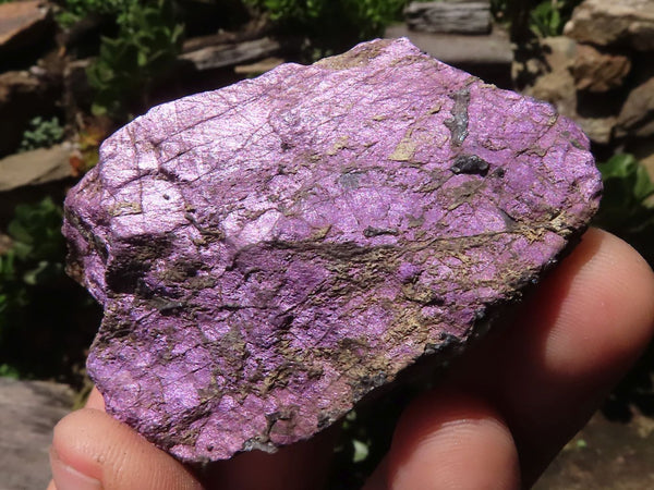 Natural Highly Selected Purpurite Cobbed Specimens  x 12 From Erongo, Namibia - TopRock