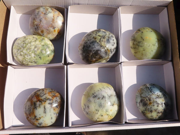Polished  Dendritic Opal Galet / Palm Stone x 7 from Madagascar - Toprock Gemstones and Minerals 