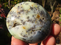 Polished  Dendritic Opal Galet / Palm Stone x 7 from Madagascar - Toprock Gemstones and Minerals 