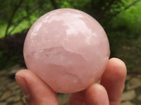 Polished Pink Rose Quartz Spheres  x 6 From Ambatondrazaka, Madagascar - TopRock