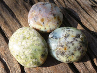 Polished  Dendritic Opal Galet / Palm Stone x 7 from Madagascar - Toprock Gemstones and Minerals 