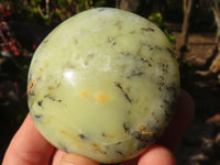 Polished  Dendritic Opal Galet / Palm Stone x 7 from Madagascar - Toprock Gemstones and Minerals 