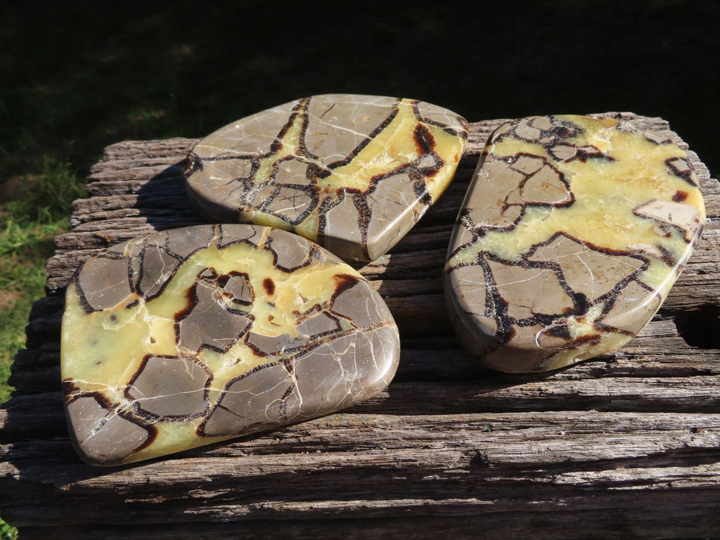 Polished Septerye (Aragonite and  Calcite) Slices x 3 From Mahajanga, Madagascar - TopRock