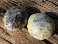 Polished  Dendritic Opal Galet / Palm Stone x 7 from Madagascar - Toprock Gemstones and Minerals 