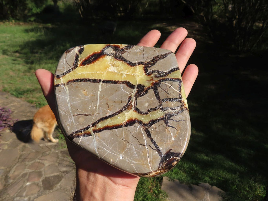 Polished Septerye (Aragonite and  Calcite) Slices x 3 From Mahajanga, Madagascar - TopRock
