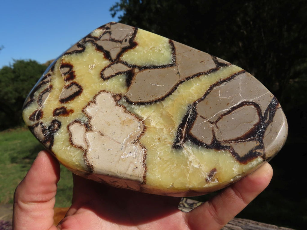 Polished Septerye (Aragonite and  Calcite) Slices x 3 From Mahajanga, Madagascar - TopRock