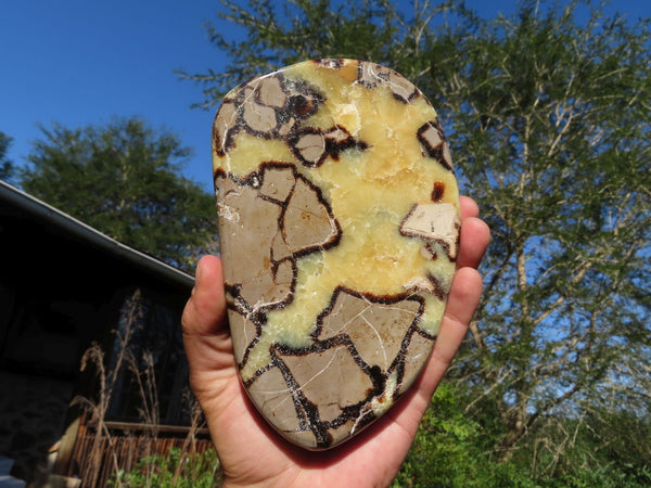 Polished Septerye (Aragonite and  Calcite) Slices x 3 From Mahajanga, Madagascar - TopRock