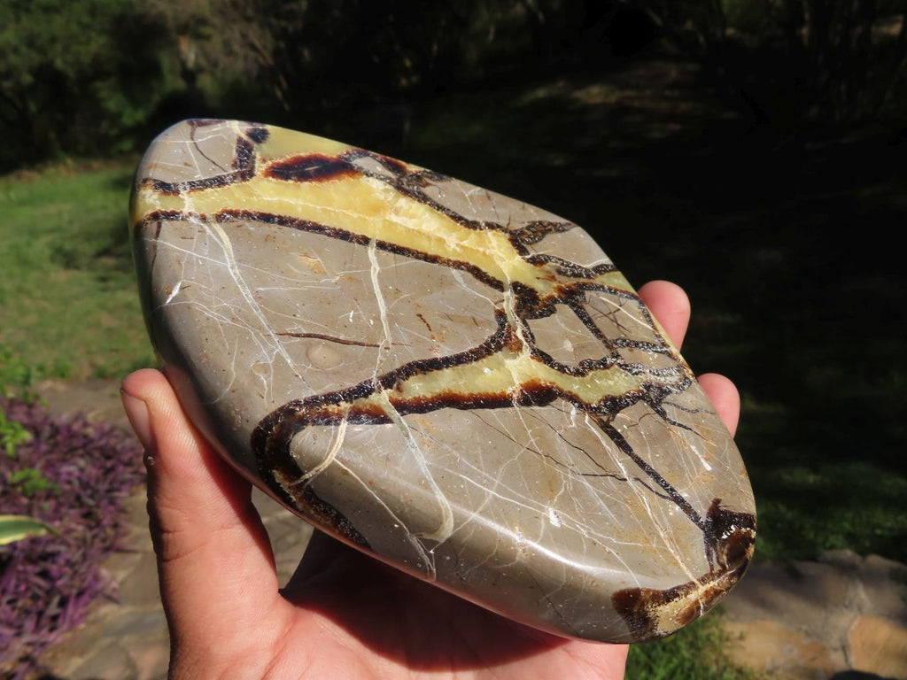 Polished Septerye (Aragonite and  Calcite) Slices x 3 From Mahajanga, Madagascar - TopRock