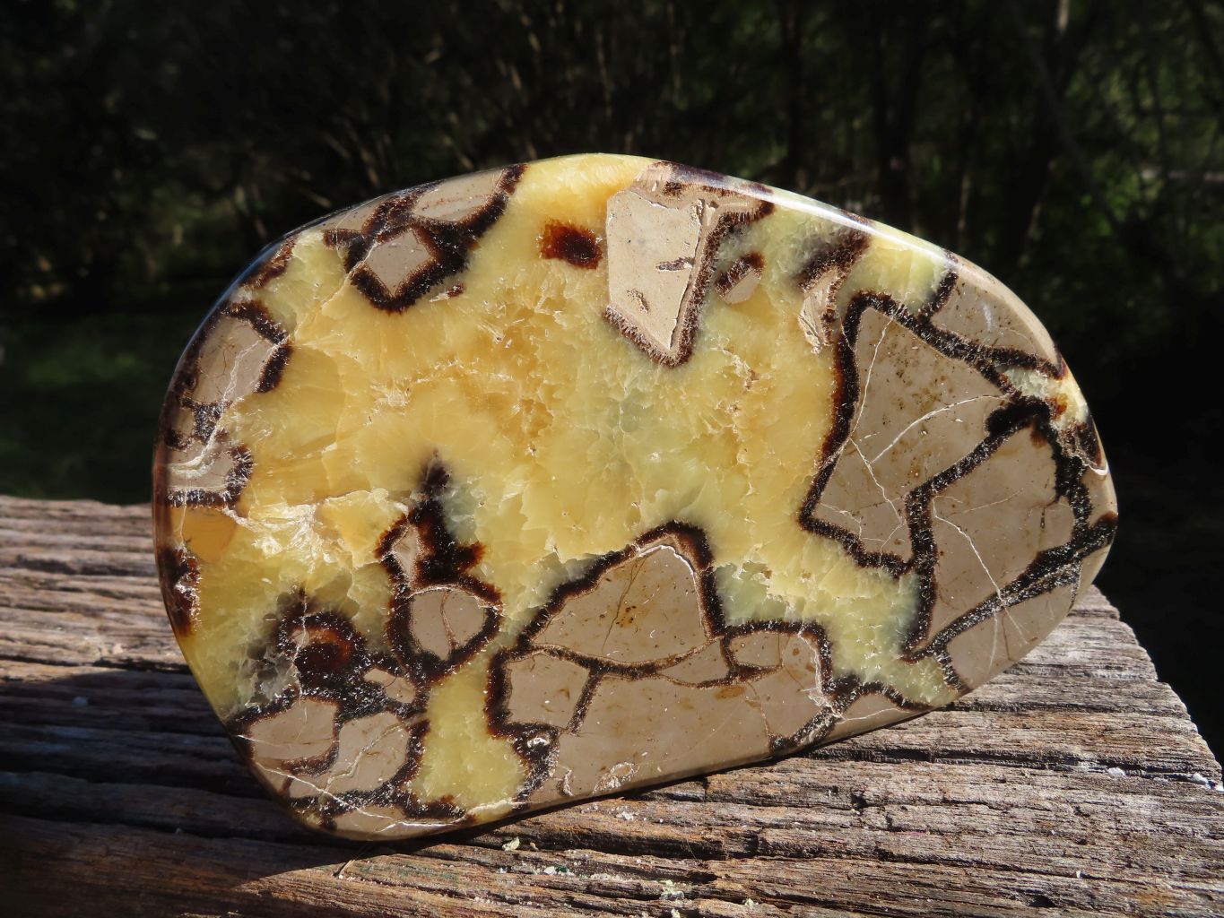 Polished Septerye (Aragonite and  Calcite) Slices x 3 From Mahajanga, Madagascar - TopRock