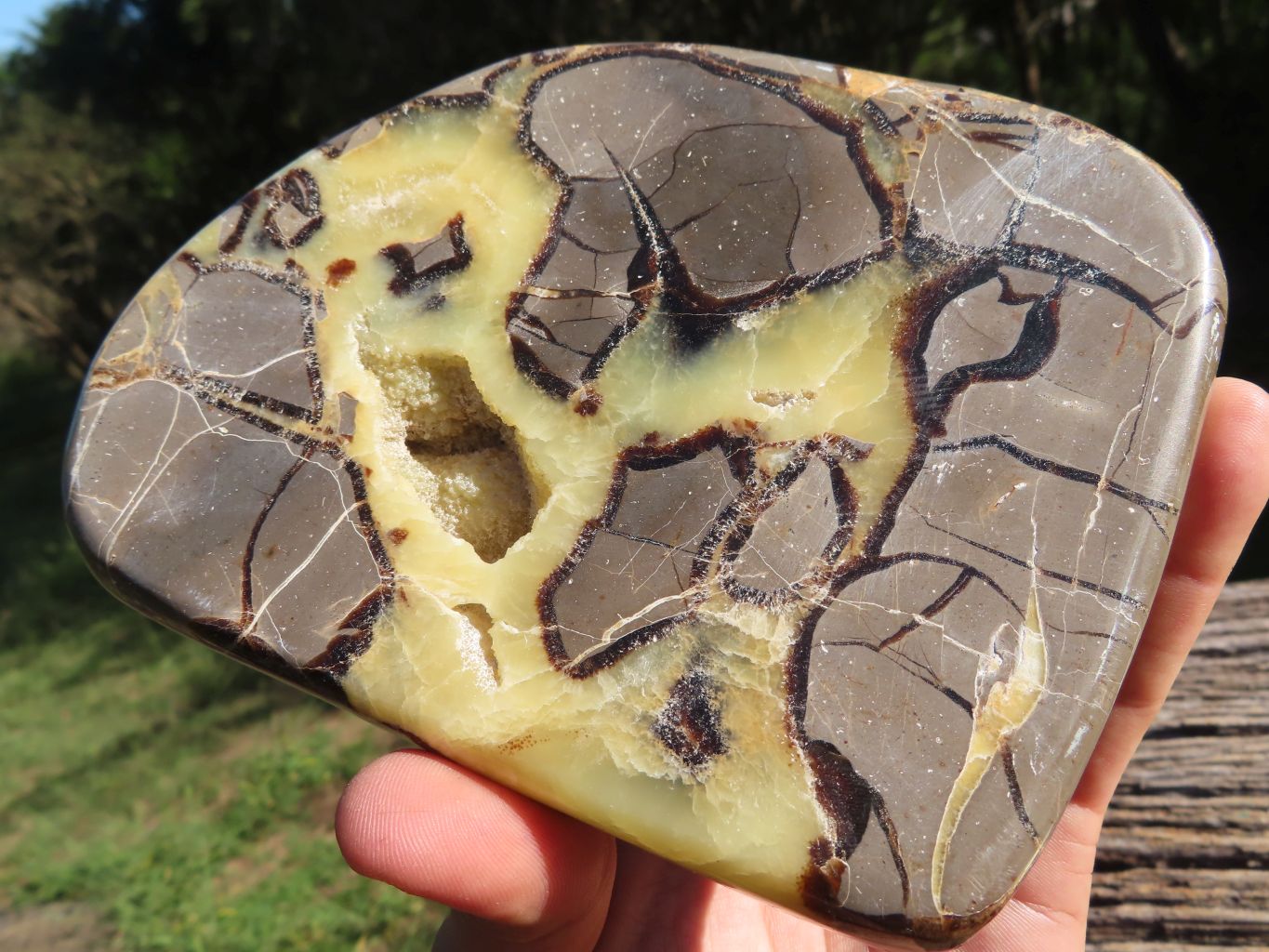 Polished Septerye (Aragonite and  Calcite) Slices x 3 From Mahajanga, Madagascar - TopRock