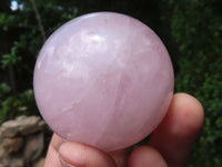 Polished Pink Rose Quartz Spheres  x 6 From Ambatondrazaka, Madagascar - TopRock
