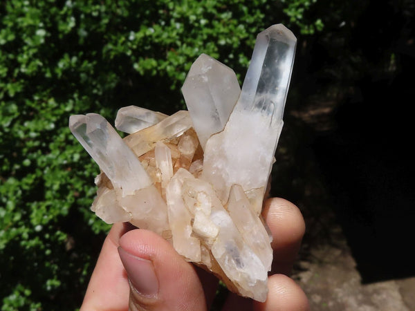 Natural Small Mixed Quartz Clusters  x 24 From Madagascar - Toprock Gemstones and Minerals 