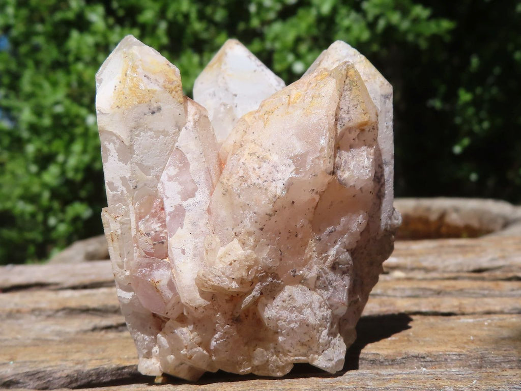 Natural Small Mixed Quartz Clusters  x 24 From Madagascar - Toprock Gemstones and Minerals 