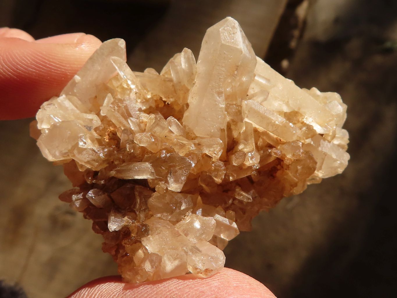 Natural Small Clear Quartz Clusters  x 35 From Madagascar - Toprock Gemstones and Minerals 
