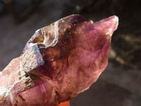 Natural Extra Large Window Amethyst Crystals  x 6 From Chiredzi, Zimbabwe - Toprock Gemstones and Minerals 