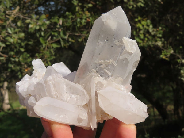 Natural Quartz Clusters With Nice Intact Crystals  x 6 From Madagascar - TopRock