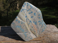 Polished Blue Spotted Spinel "Dalmatian Stone" Leaf Sculptures x 2 From Madagascar - TopRock