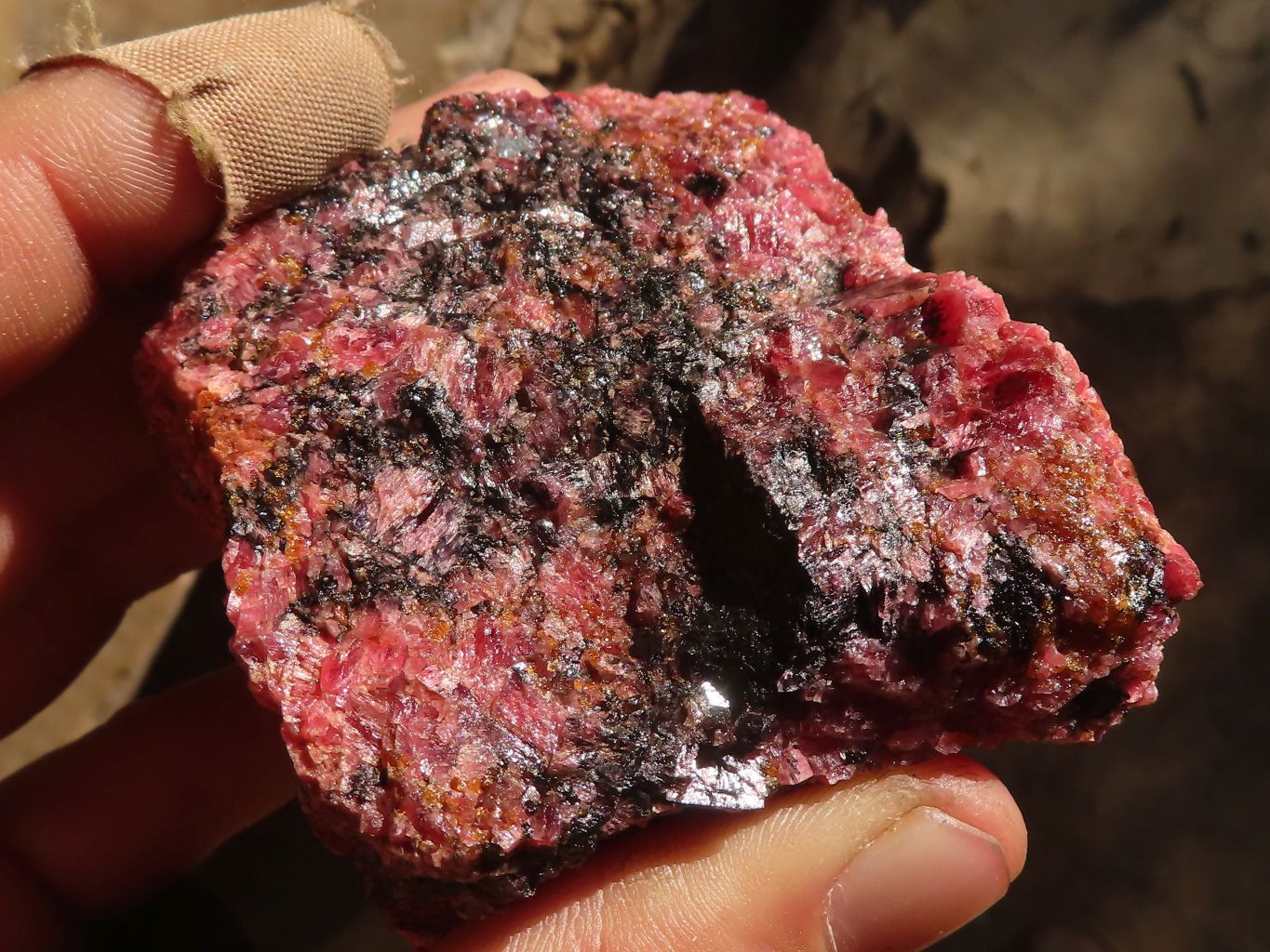 Natural Rough Red Rhodonite Specimens x 6 From Zimbabwe - Toprock Gemstones and Minerals 