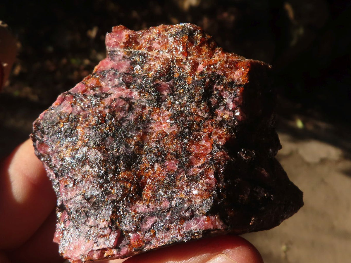 Natural Rough Red Rhodonite Specimens x 6 From Zimbabwe - Toprock Gemstones and Minerals 