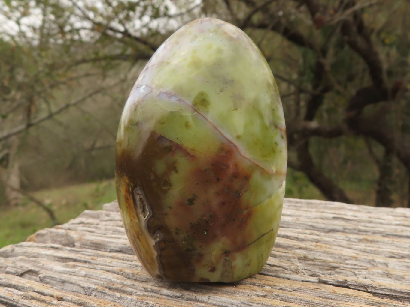 Polished Trio Of Green Opal Standing Free Forms  x 3 From Madagascar - TopRock