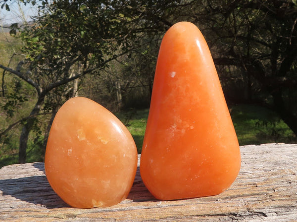 Polished Vibrant Orange Twist Calcite Standing Free Forms  x 2 From Madagascar - TopRock