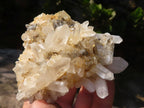 Natural Small Mixed Quartz Clusters  x 12 From Madagascar - Toprock Gemstones and Minerals 