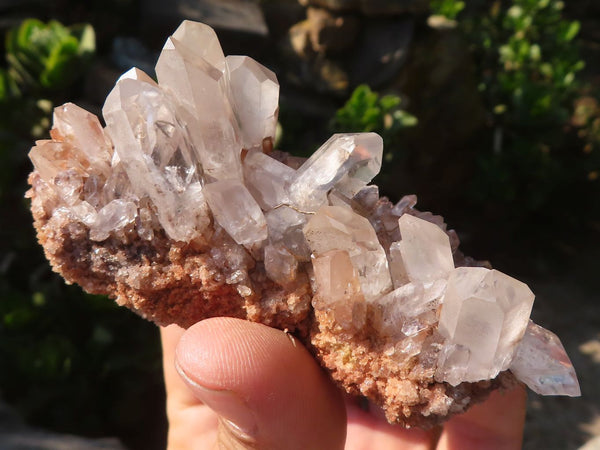 Natural Small Mixed Quartz Clusters  x 12 From Madagascar