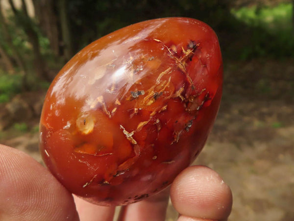 Polished Deep Red Carnelian Agate Eggs x 12 From Madagascar - TopRock