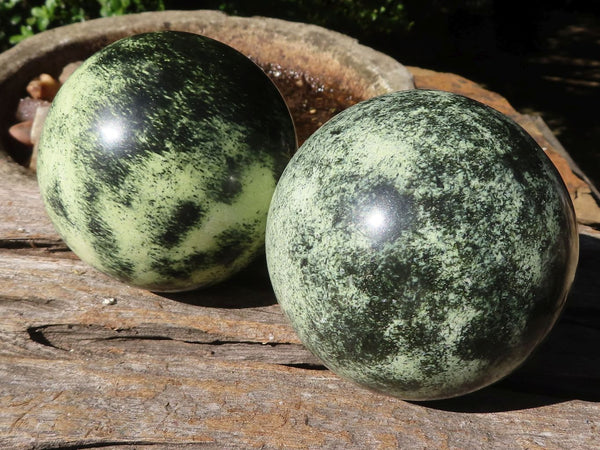 Polished Leopard Stone Spheres  x 2 From Zimbabwe - TopRock