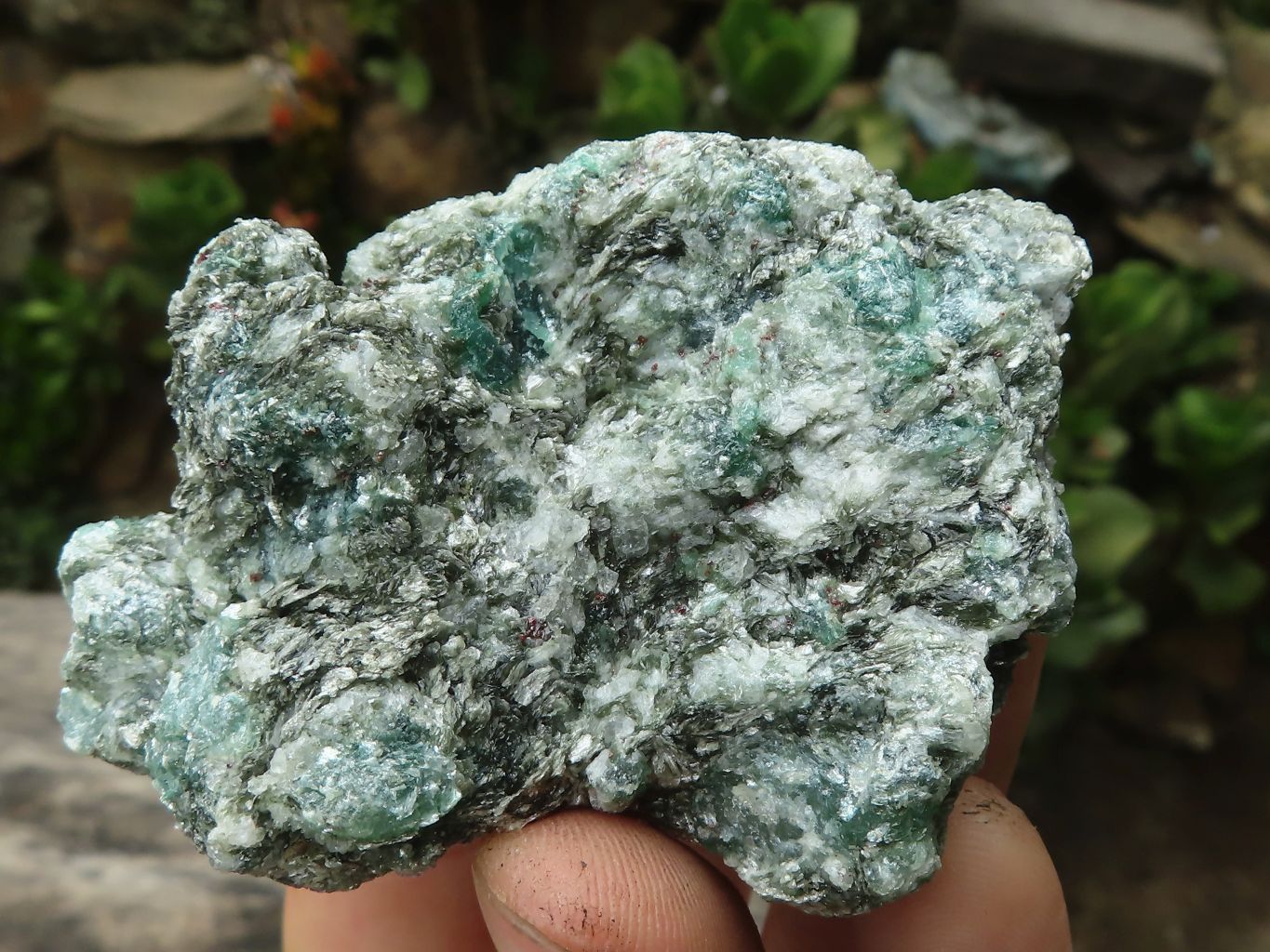 Natural Green Emerald In Mica & Quartz Schist x 14 From Sandawana, Zimbabwe - TopRock