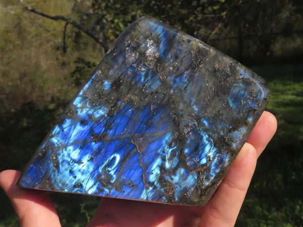 Polished Labradorite Standing Free Forms With Intense Blue Flash  x 2 From Madagascar - TopRock