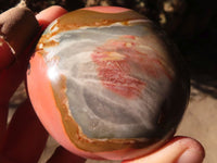 Polished Polychrome / Picasso Jasper Palm Stones  x 6 From Madagascar - Toprock Gemstones and Minerals 