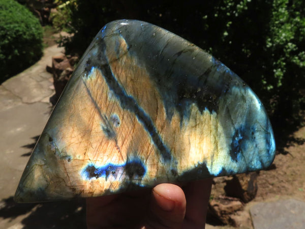 Polished Labradorite Standing Free Forms With Blue & Gold Flash  x 2 From Tulear, Madagascar - TopRock