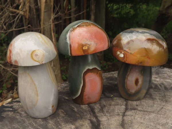 Polished Polychrome / Picasso Jasper Mushrooms x 6 From Madagascar - TopRock
