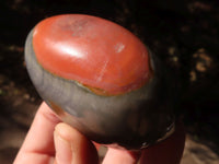 Polished Polychrome / Picasso Jasper Palm Stones  x 6 From Madagascar - Toprock Gemstones and Minerals 